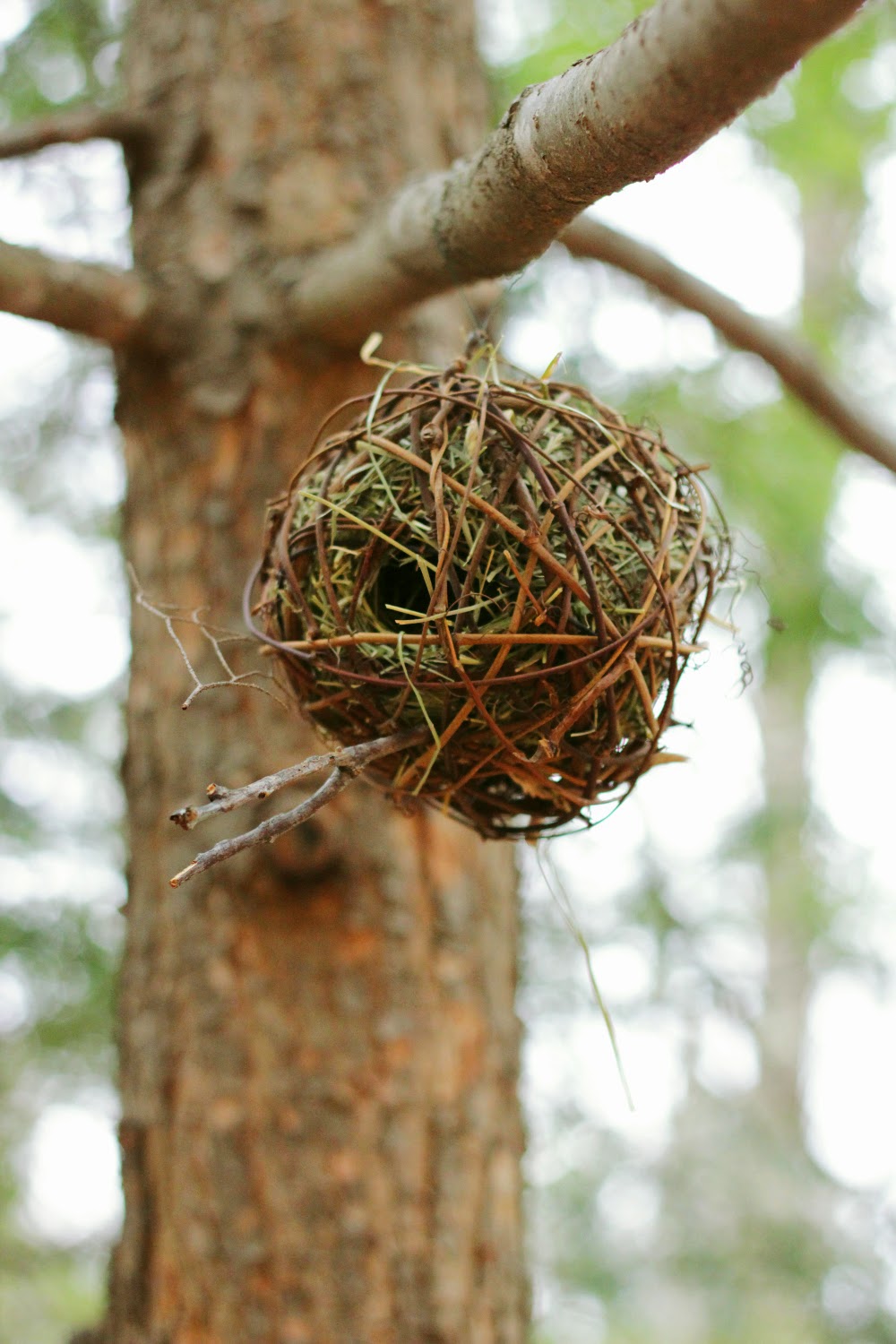 Make Your Own Wild Bird Shelter Melmaria Designs Make Your Own Wild