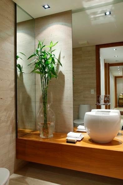 DUSCHOLUX SPAIN MAMPARAS DE BAÑO A MEDIDA: Cómo decorar un baño con plantas
