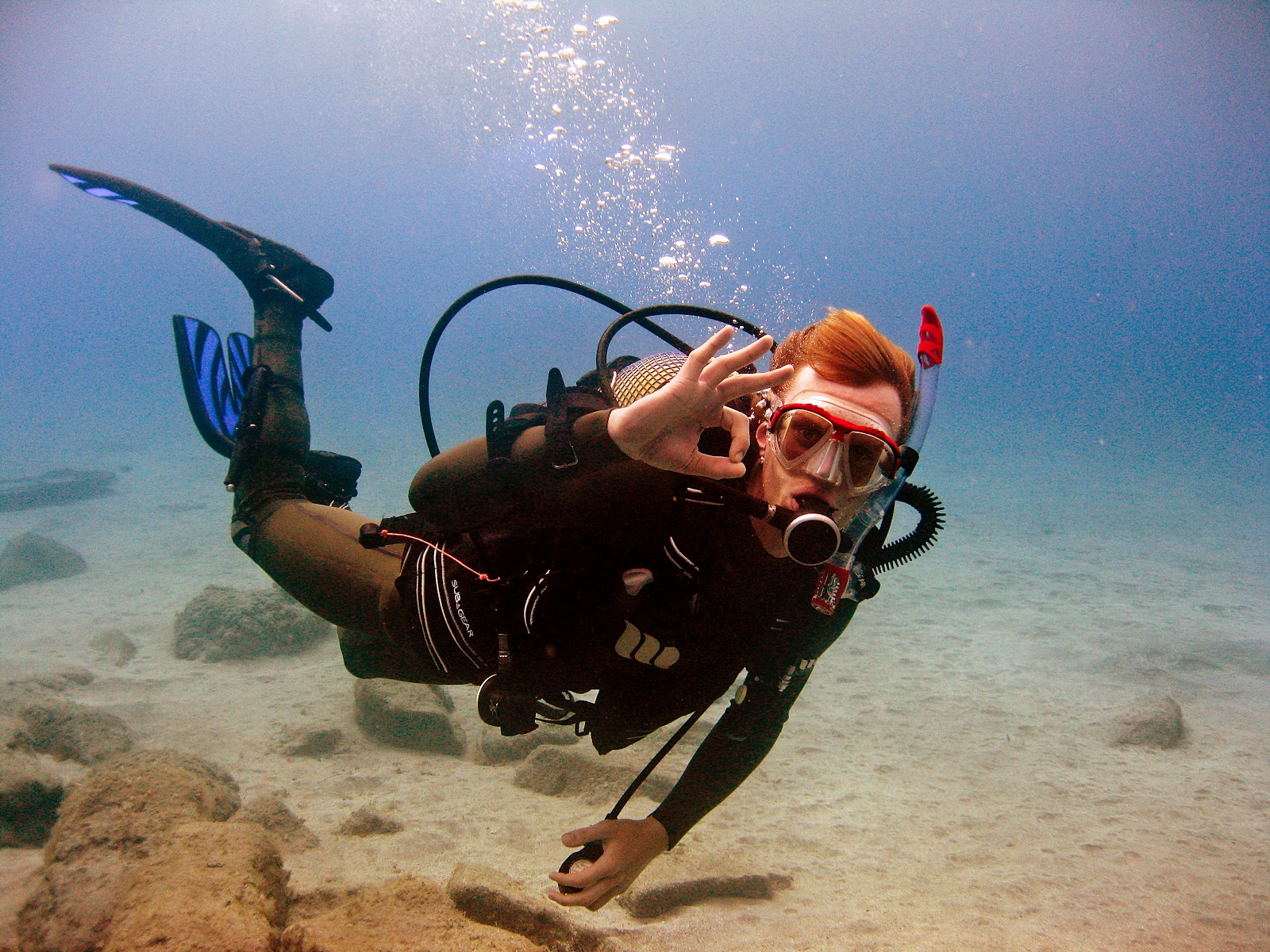 Amarilla Divers Tenerife Diving Tenerife Divemaster interns for July