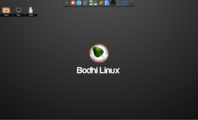 Bodhi Linux 3.0.0 Enlightenment 19