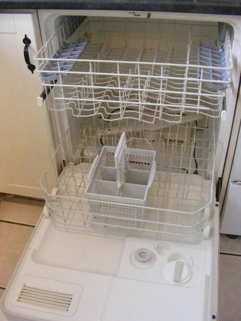 How To Clean Your Dishwasher (without gagging too much) | The Complete