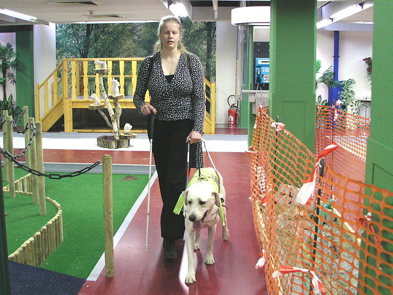 Seeing Eye Dog Trayning Schools In Seeing Eye Dog Trayning Schools In