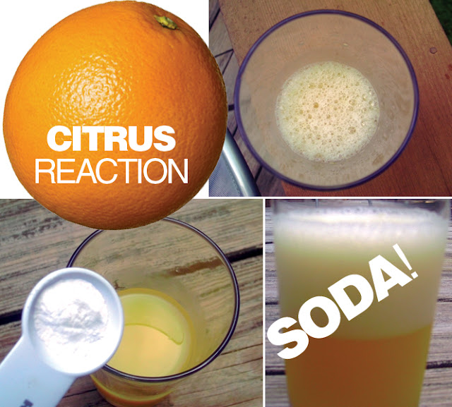 E is for Explore! Citrus Reaction Natural Soda