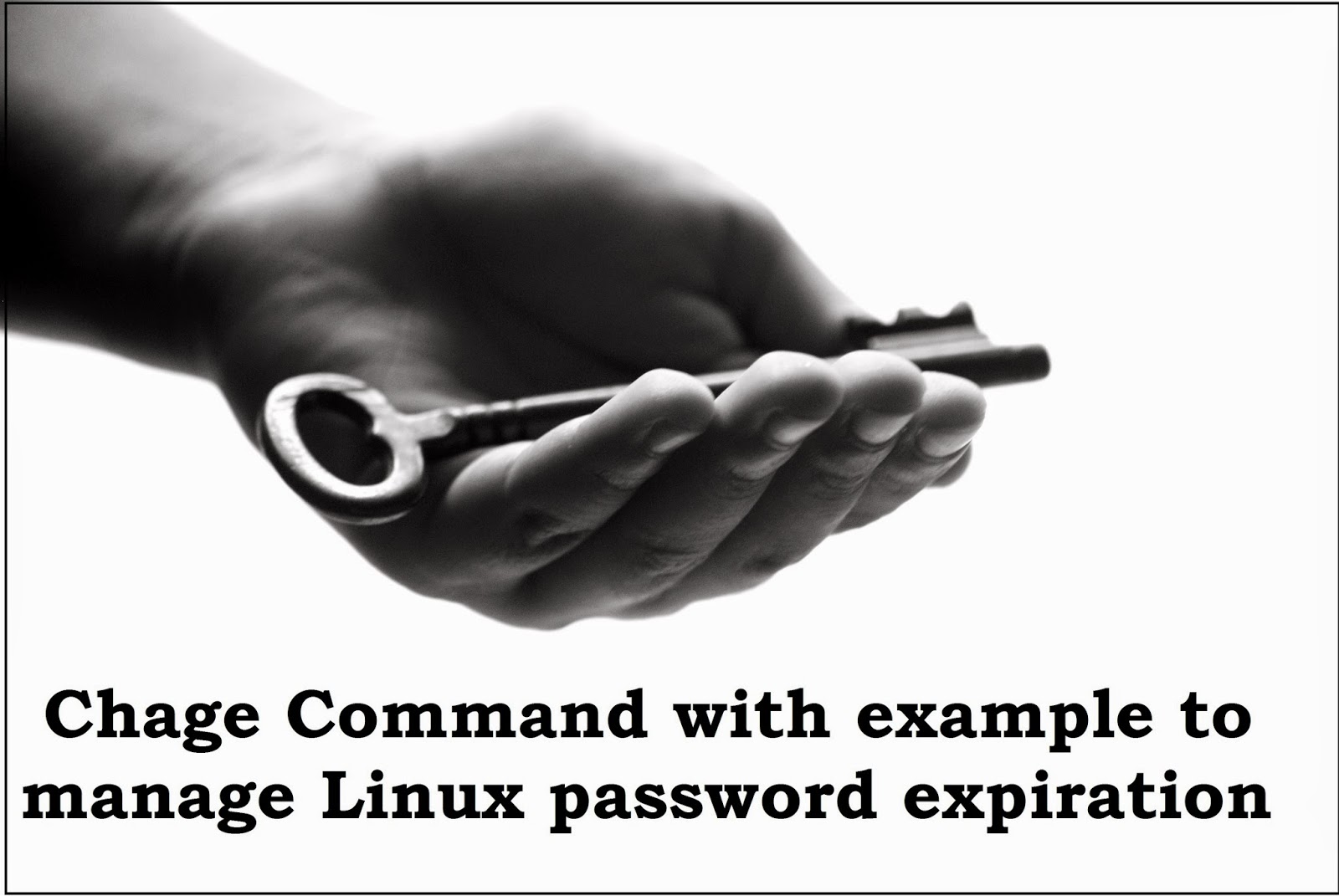 command change user password linux