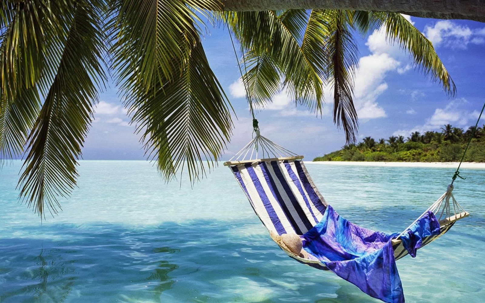 garden: Wallpapers of Hot Sunny Winter