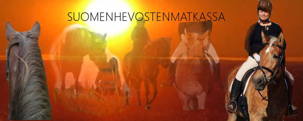 Suomenhevosten matkassa