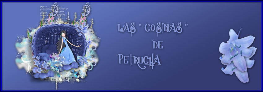 LAS COSINAS DE PETRUCHA