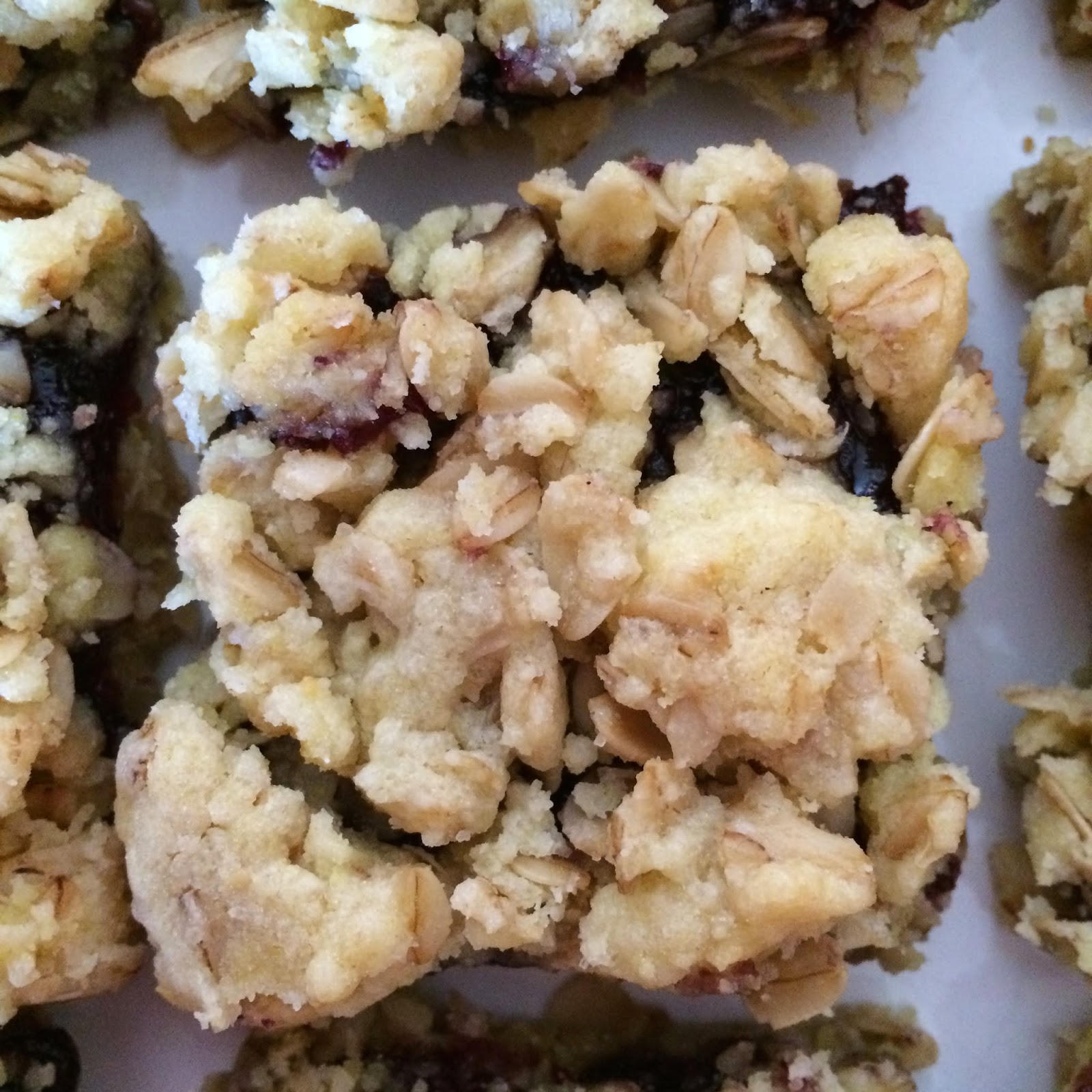 LIFE is better in PINK Lemon Oatmeal and Blueberry Jam Bars