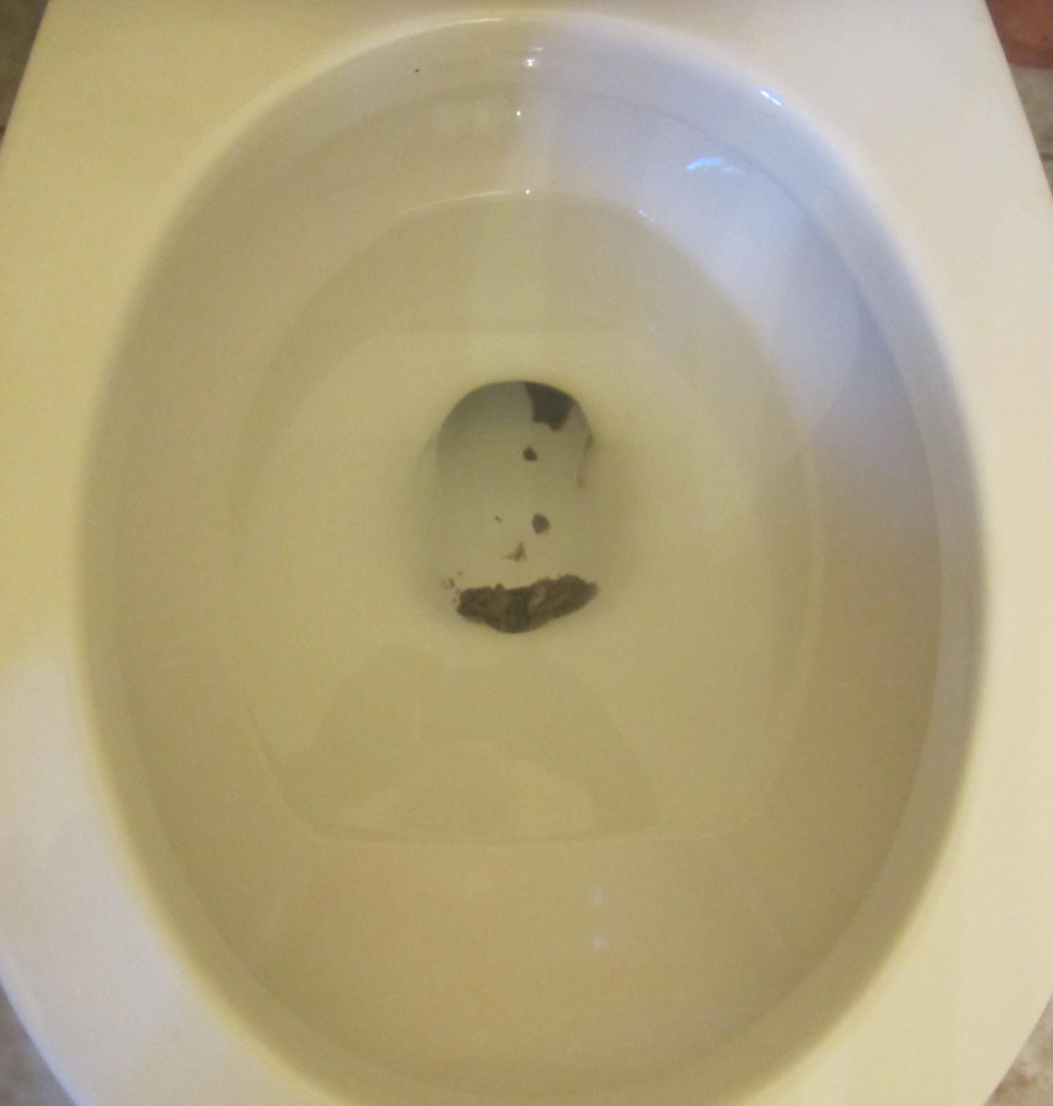 Black Streaks In My Toilet Bowl at Larry Guidry blog