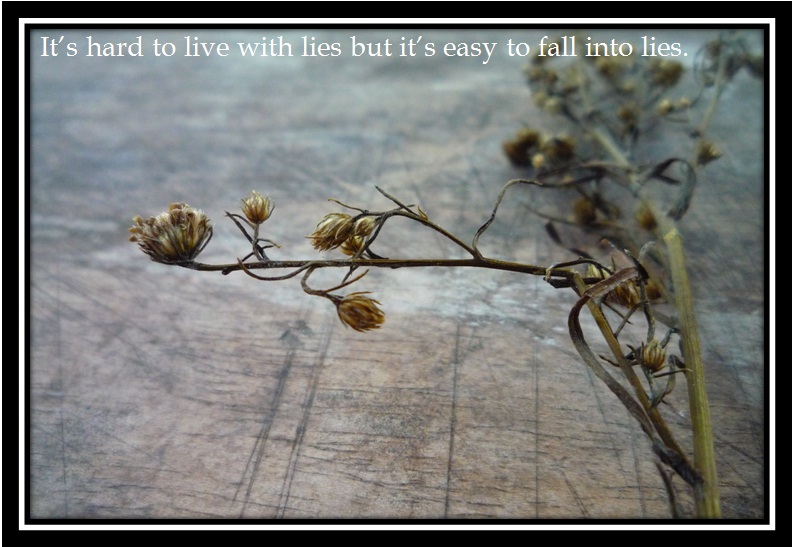 Photos with quotes: It's all about LIES