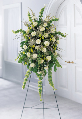 <strong>funeralflower<\/strong>” style=”max-width:440px;float:left;padding:10px 10px 10px 0px;border:0px;”>Choosing a specific colour of a flower or the color palate of a flower association can set the tone of the condolence message you are trying to convey. All flowers coming from overseas have to stick to the strict pointers set down by DEFRA, Department for Environment Food and Rural Affairs, to ensure that imported flowers and crops meet high quality standards and for example, will not be carrying disease which are detrimental to native UK flowers and plants.</p>
</p>
<p>The design, colour and history of a flower all contribute to its symbolic meaning. You will need to choose a container for Christmas silk flower arrangement that is neither too extensive nor too slim however definitely light-weight. CANINE CHEW, BRECKSVILLE: A dog bit the again of a knee of an Independence woman, 76, on June 22 as she tried to enter her car exterior a florist in the 6400 block.</p>
</p>
<p>A nice gesture is to ship sympathy flowers to the family’s home after the funeral to remind the bereaved that you haven’t forgotten about them or their loss. Flower Design & Layout: Everybody knows that we every have our own favourite colours, and favourite flowers. Then again, if you want a flower that may withstand per week or two of funeral companies with out withering; you could get silk funeral flowers as a substitute.</p>
</p>
<p>A funeral for a good friend or liked one might be difficult, however funeral flowers from THARP’S FLOWERS of Deming, NM can help begin the therapeutic course of. Selecting a flower funeral will not be a simple task in any respect but our florists will help you to pick out the proper match for the funeral. After these initial steps are accomplished, the following step in direction of planning a bay area funeral is to speak with the funeral director.<img decoding=