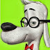 Mr. Dog - Palpites - 11ª Rodada