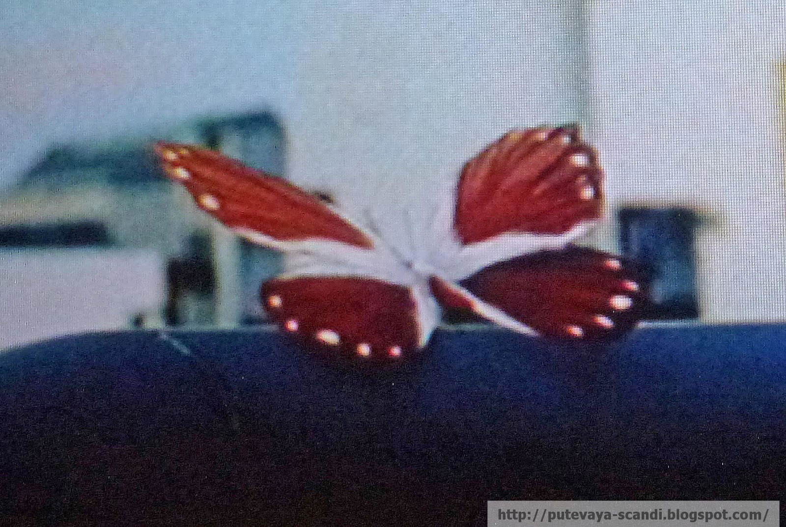 летит в Данию