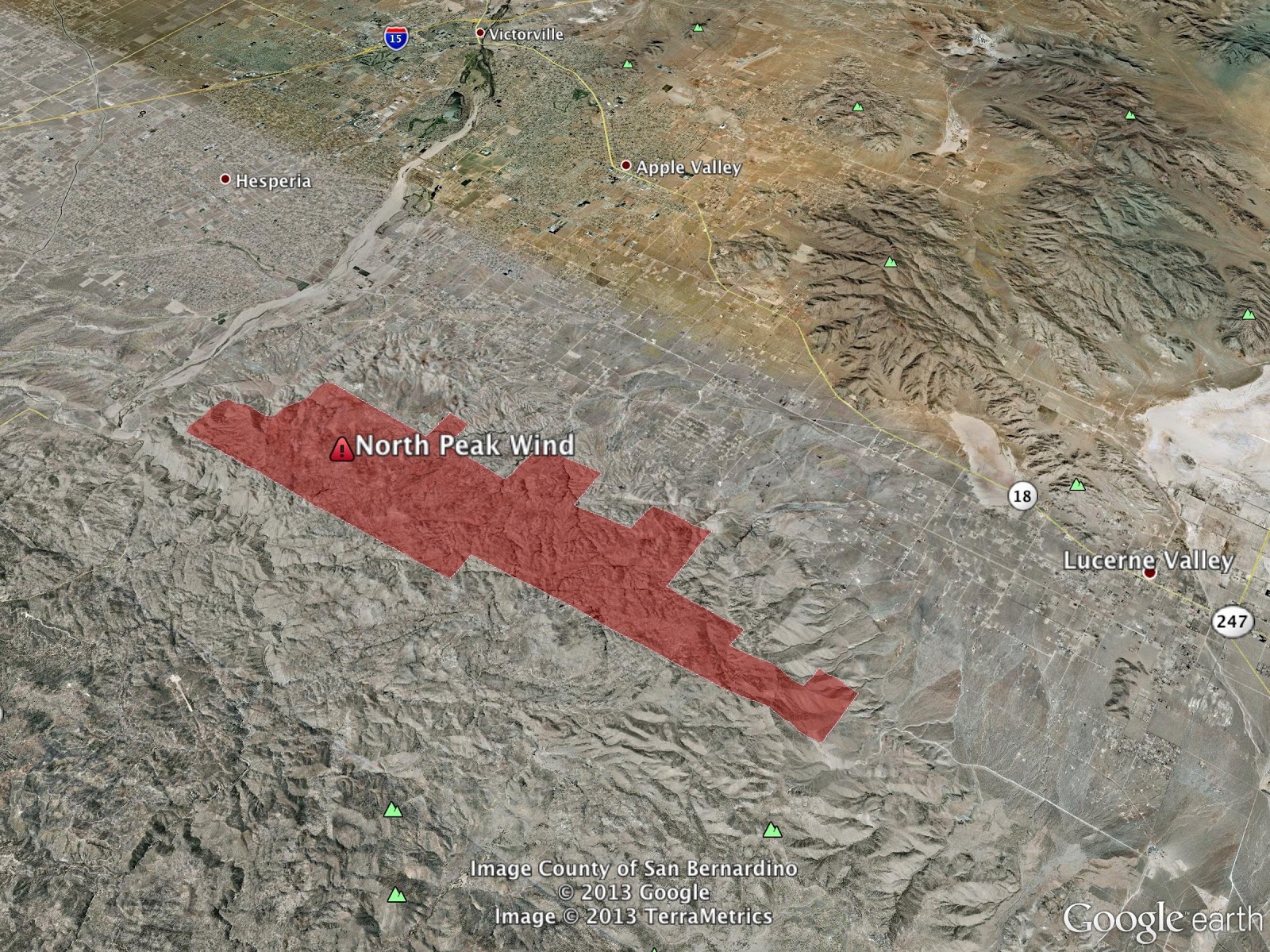 Birds Of Saudi Arabia Juniper Tanoumah