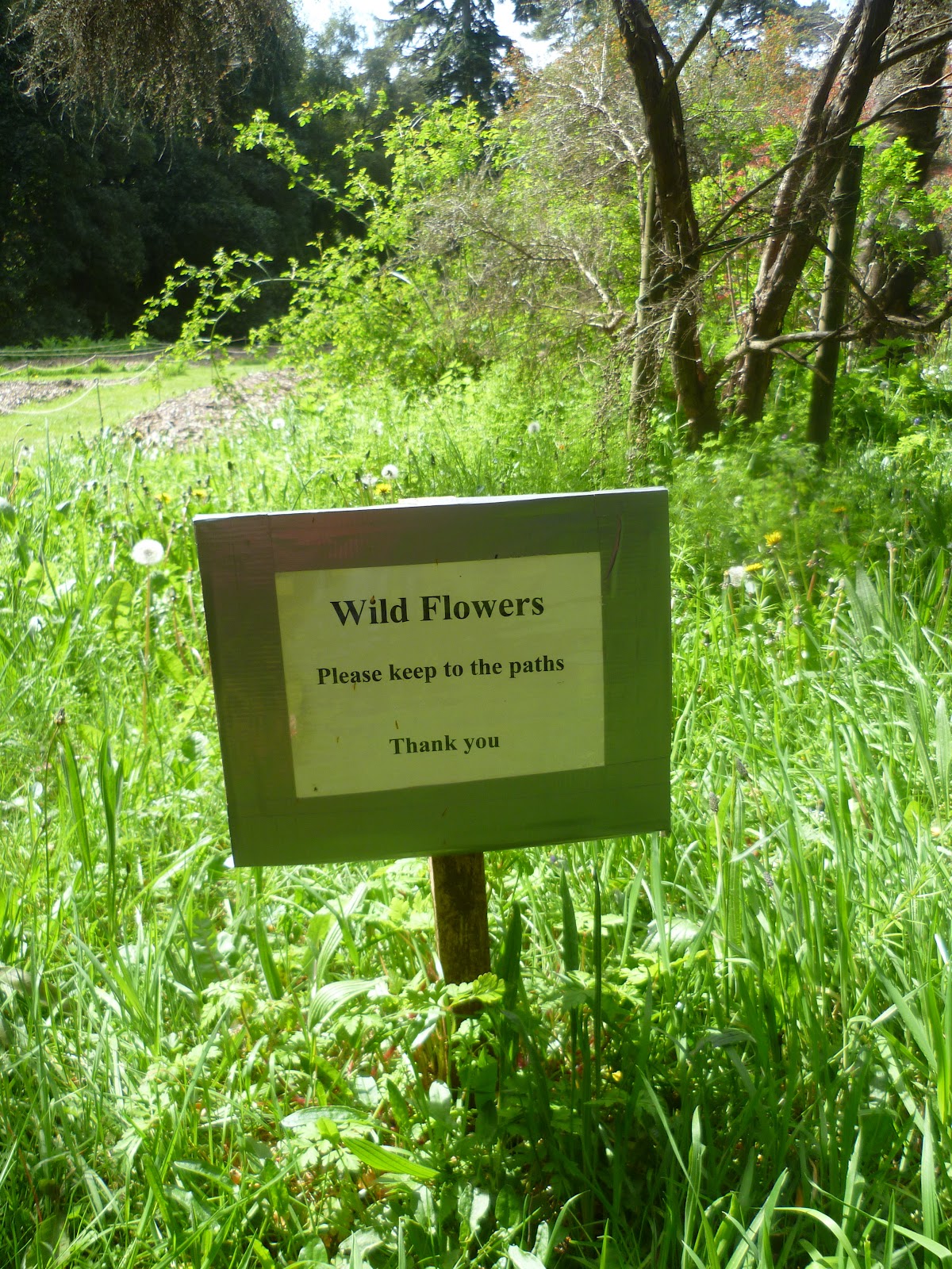 Ann-Marie Powell Gardens Blog