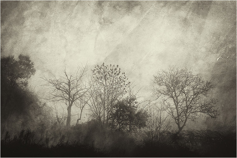emerging photographers, Best Photo of the Day in Emphoka by Joàn Abella, https://flic.kr/p/k3TLDY emerging photographers, Best Photo of the Day in Emphoka by Joàn Abella, https://flic.kr/p/k3TLDY