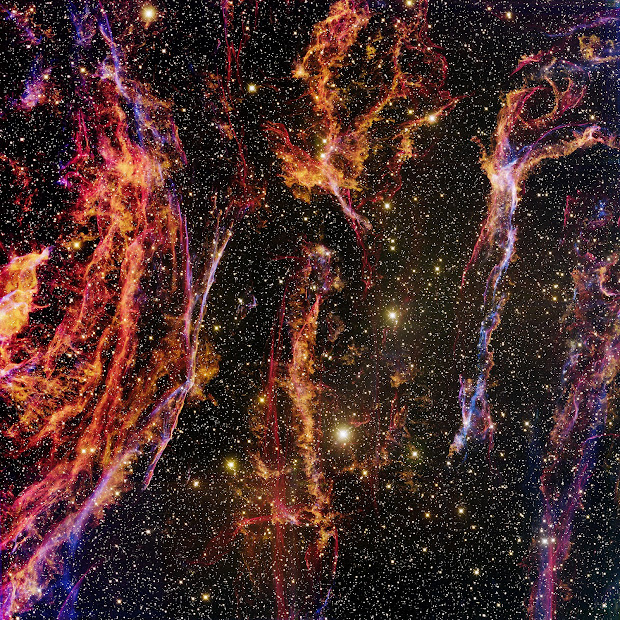 The Cygnus Loop Supernova Remnant