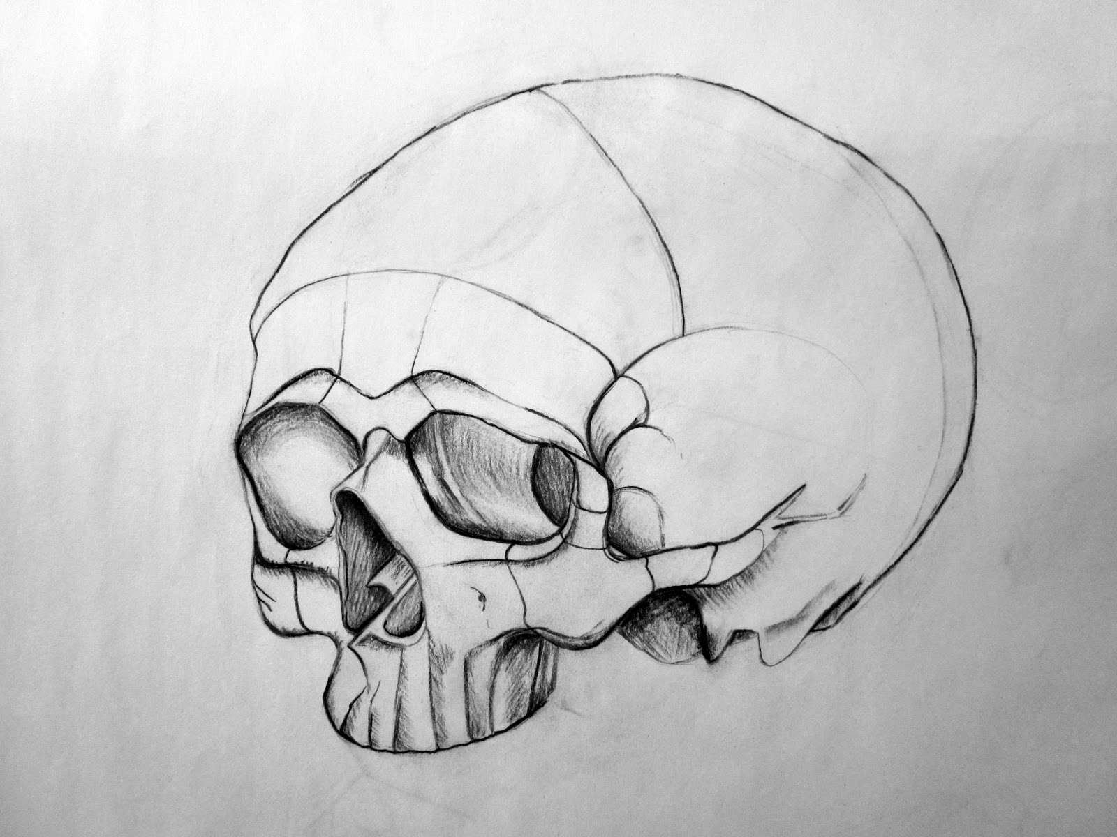 Allie's Drawings: Skull