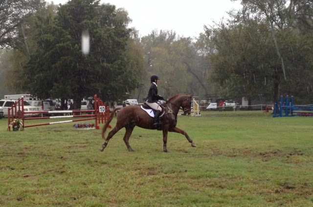guest_blog_7_how_bad_eventer_found_her_sitting_trot