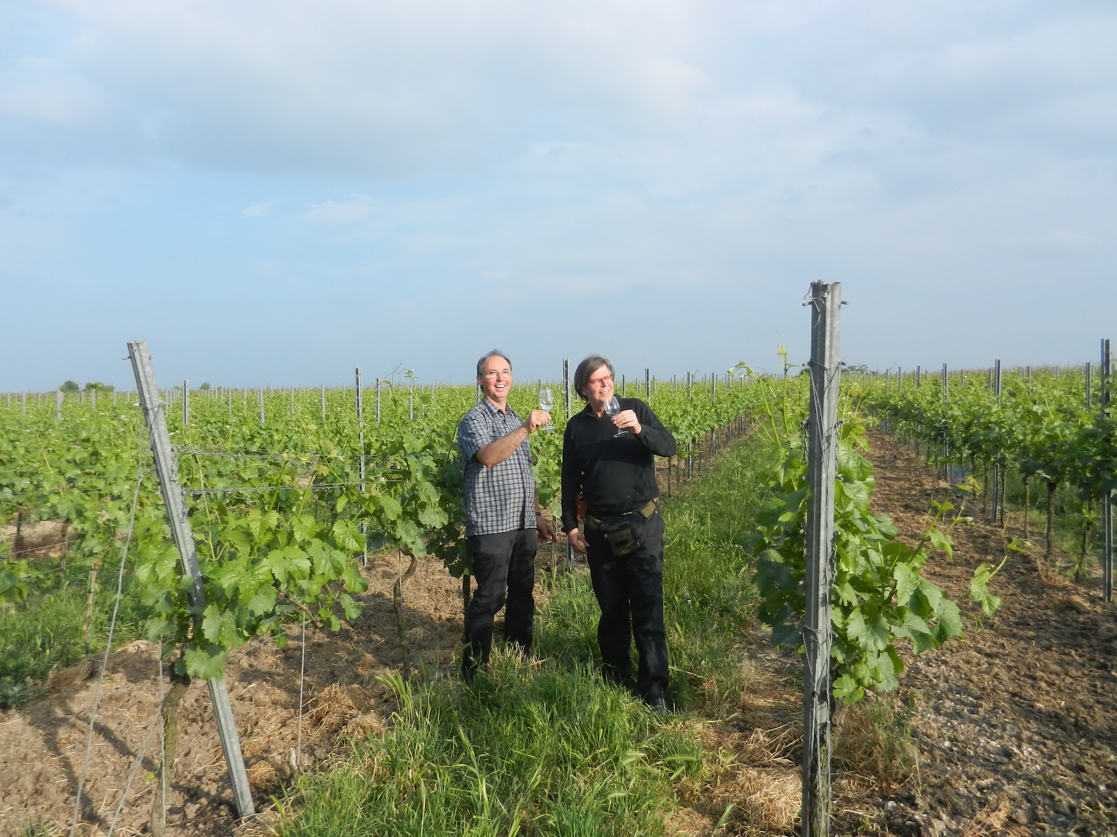 Schiller Wine Page 37 Chan 9700818 Rssing Com