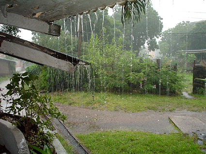 mintflavours: 11 Fakta Mengejutkan Tentang Hujan (INFO)