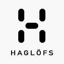 Haglögs raid team