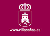 AYUNTAMIENTO DE VILLACAÑAS