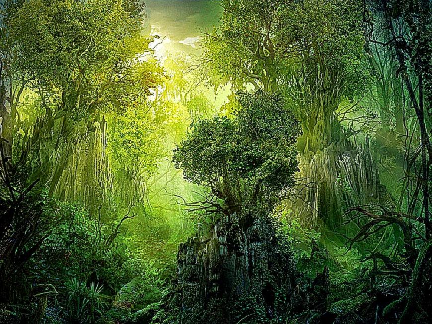 Magic Forest autor Magic Forest autor