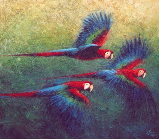 Cuadros Coloridas Guacamayas