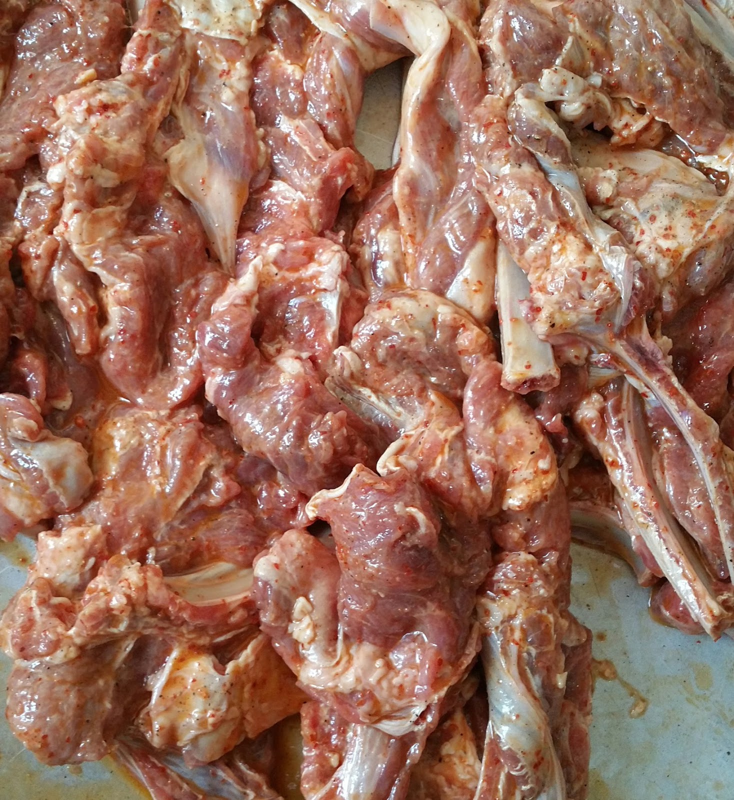 FIRINDA KUZU PİRZOLA; MOR BOSTAN