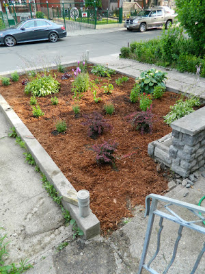 Bloordale garden clean up Paul Jung Gardening Services Toronto after