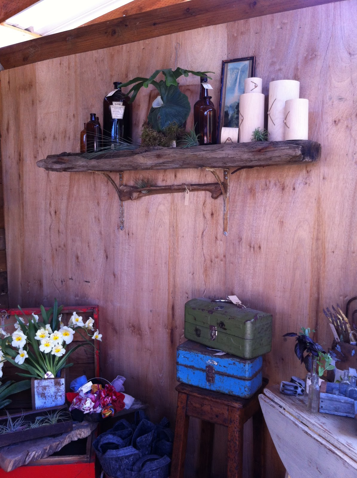 Bell and Star Thicket Nursery In Portland