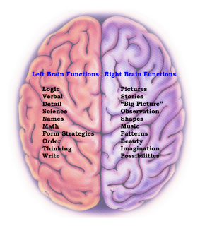 http://1.bp.blogspot.com/-gowEPoBudOk/T2tqqiPhQcI/AAAAAAAAAMA/ILmHuMwgrko/s1600/Brain-Functions.png