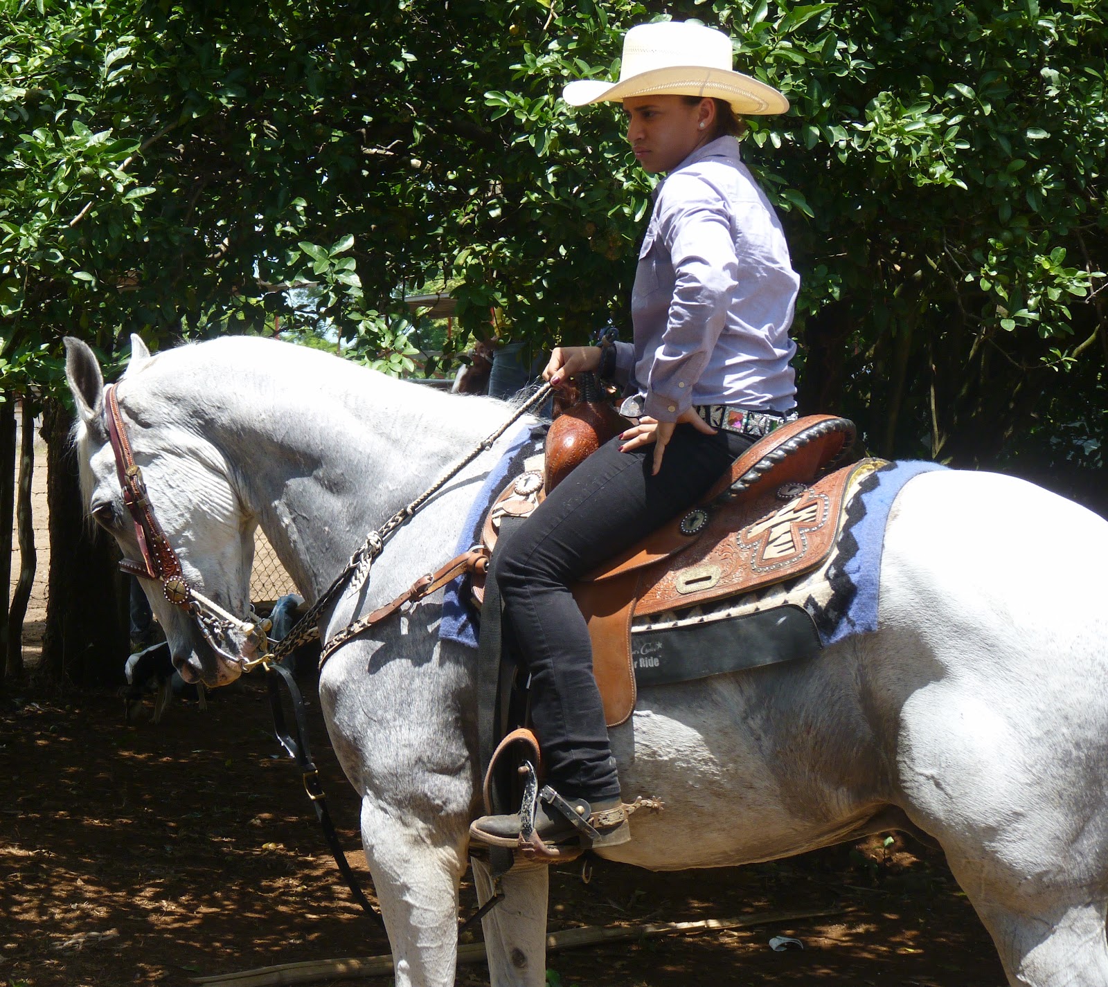 Horse Talk Panama Carreras de Barriles la Competencia Panamá•Barrel