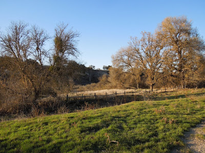 West of Salinas River Trail through Larry Moore Park, © B. Radisavljevic