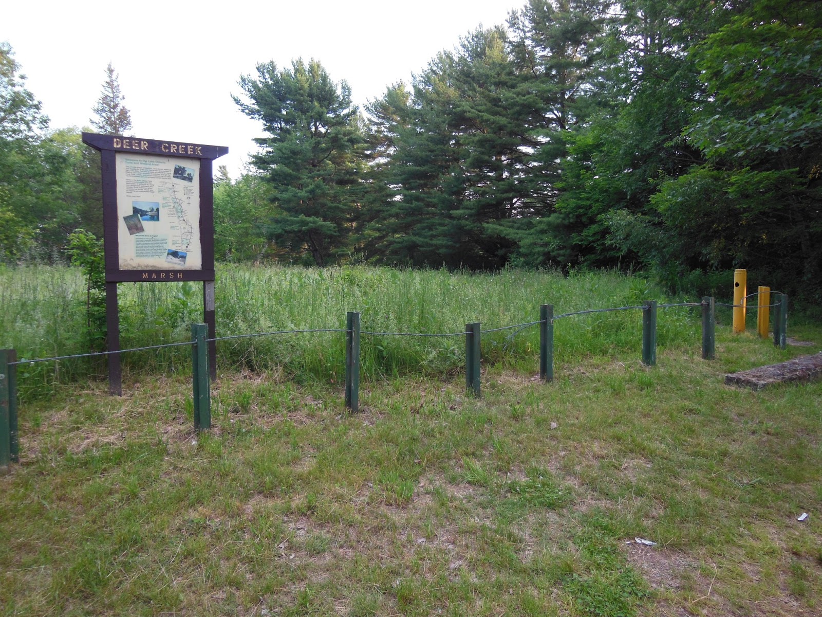 Fishing & Hunting in Oswego County, NY Deer Creek Marsh Wildlife