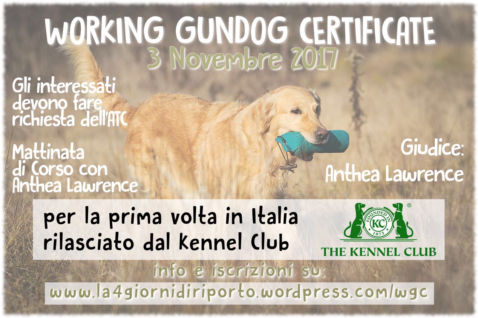 3/11/2017 WORKING GUNDOG CERTIFICATE Rilasciato dal Kennel club inglese