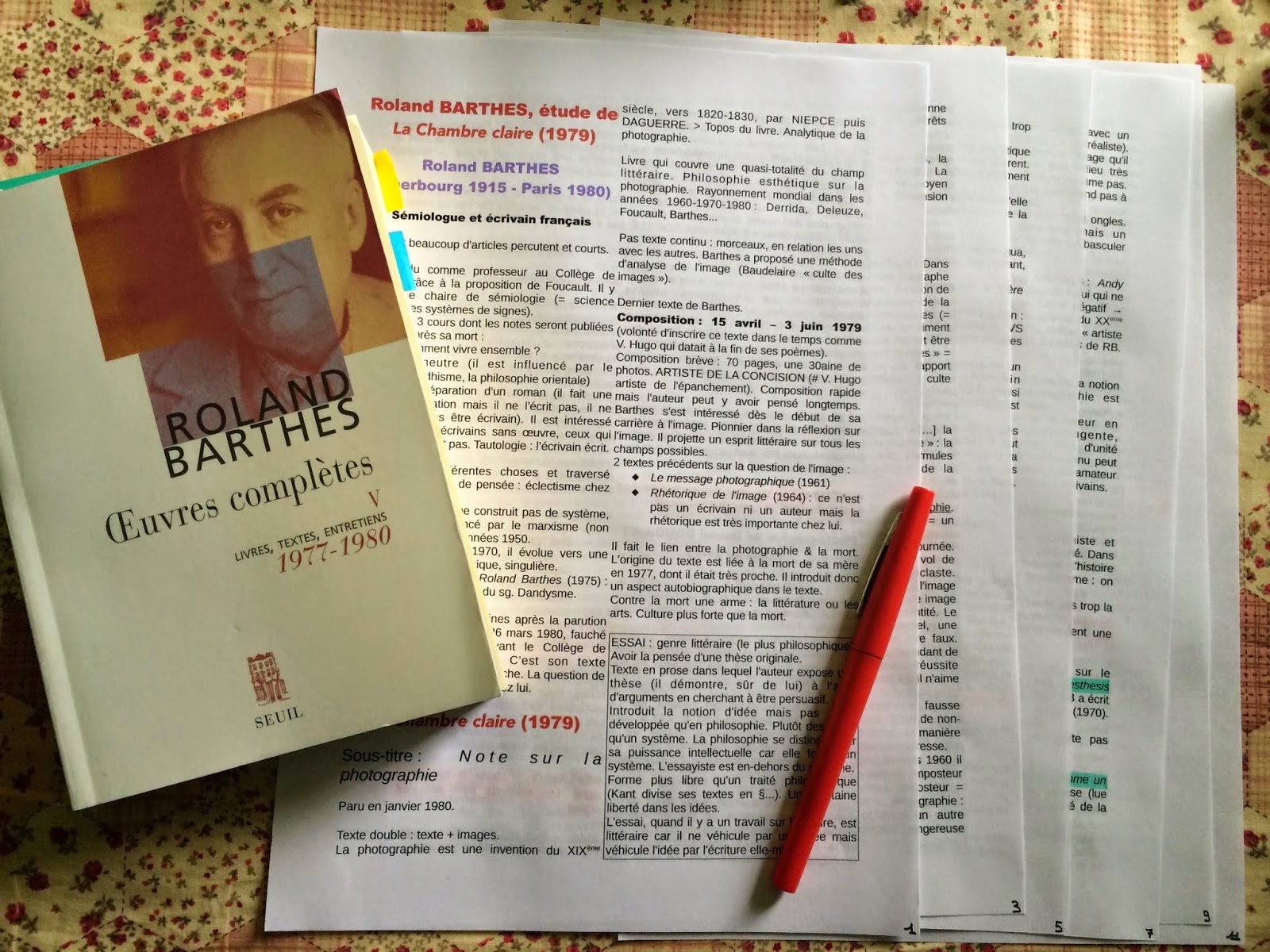 Le Salon Des Lettres: "La Chambre claire" de Roland Barthes