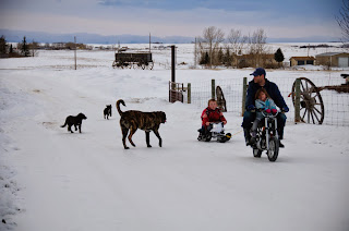 Sledding