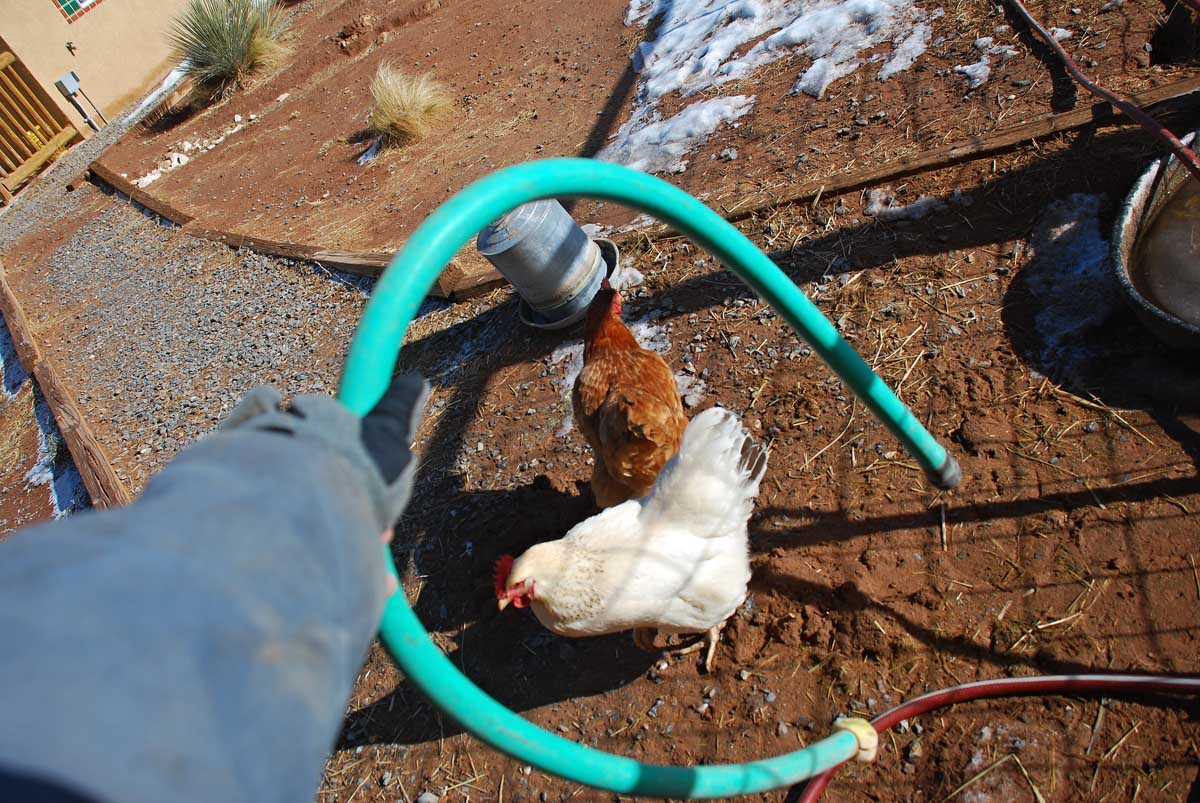 The 7MSN Ranch The art and science of watering livestock in winter