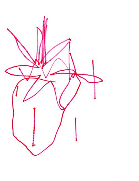 Philuko Die Wieder Gefundene Jugend