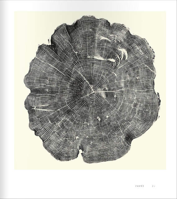 the good stuff WOODCUTS