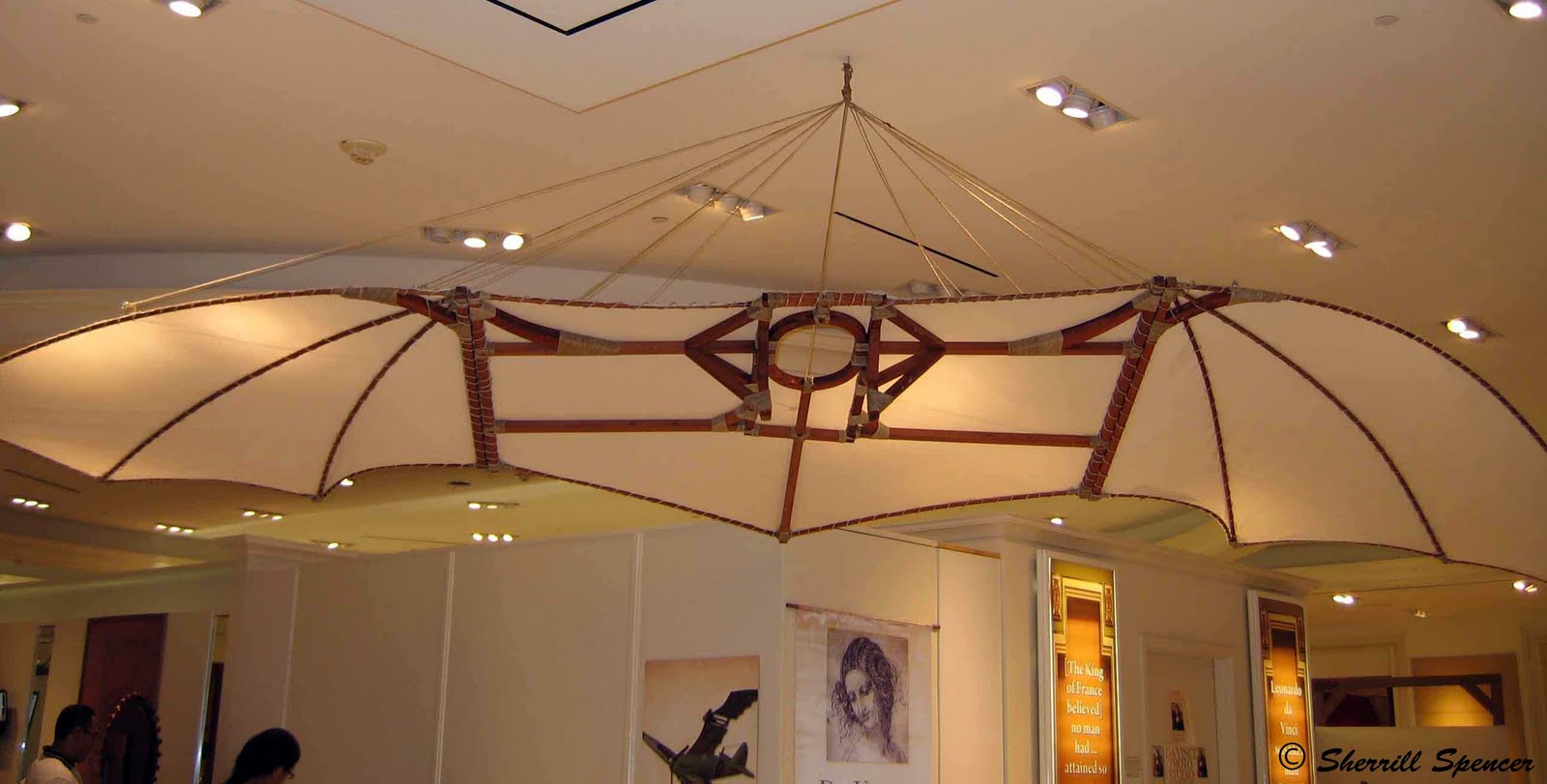 Da Vinci Plane