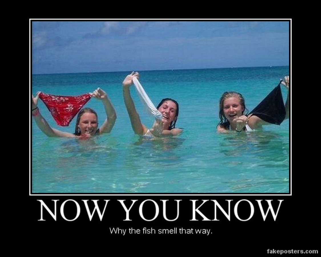 Chuck's Fun Page 2 Demotivators