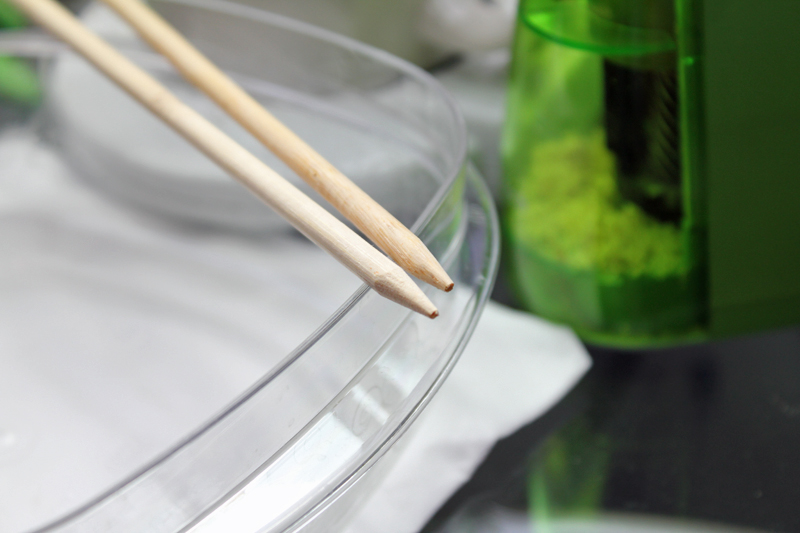 LearnSomethingNew Snack Chopsticks