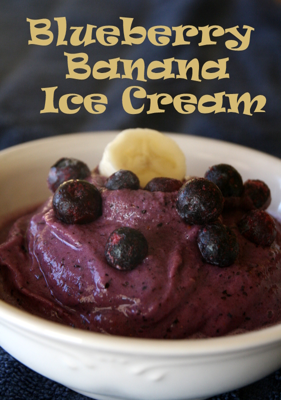 The Sweet {Tooth} Life Blueberry Banana Ice Cream