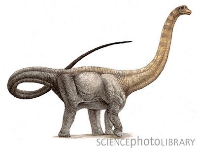 Hypselosaurus