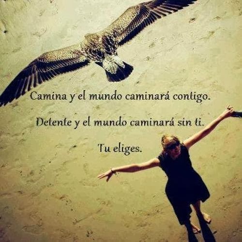 la viveza de la gente la viveza de la gente