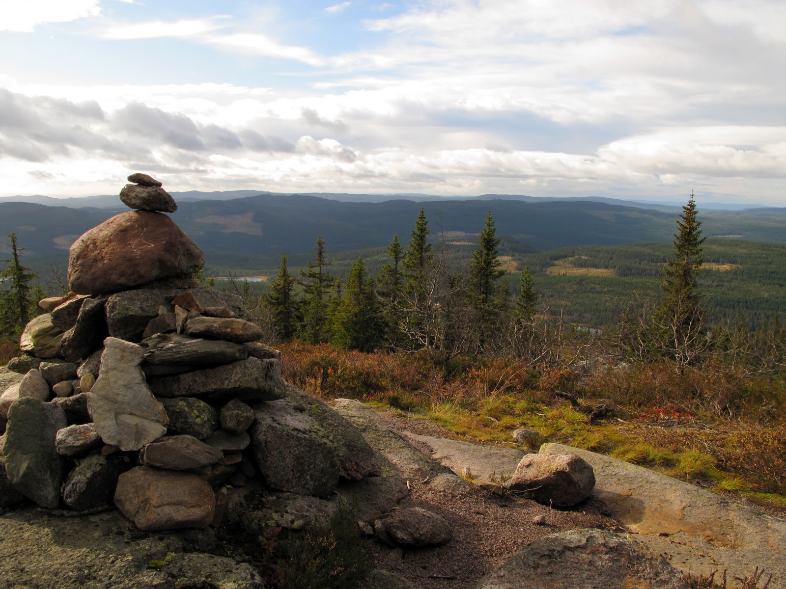 [Image: IMG_6136.JPG]