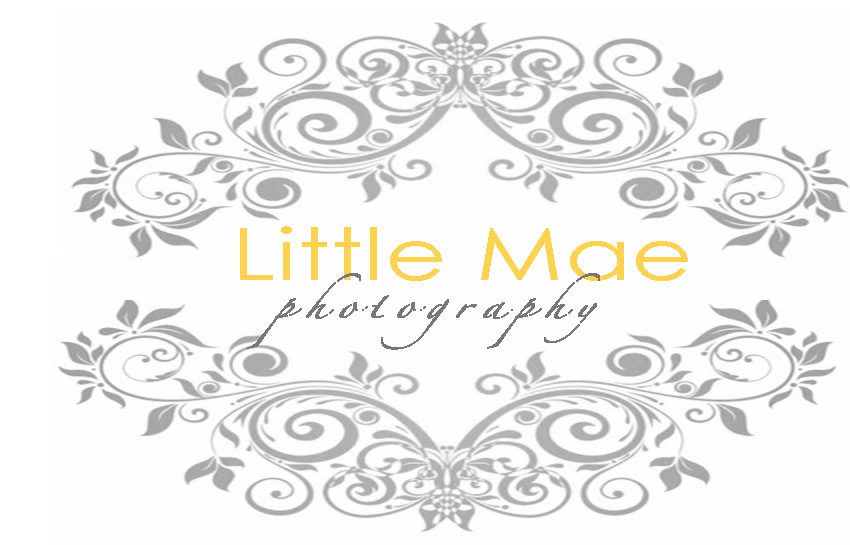 Little Mae Photography